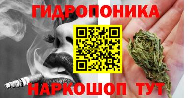 винт Краснодар