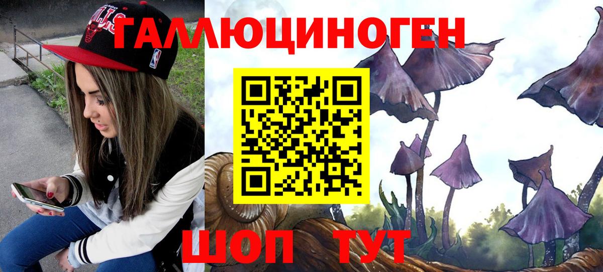 Галлюциногенные грибы Cubensis  Вход с VPN  Жуковский  Галлюциногенные грибы мицелий 